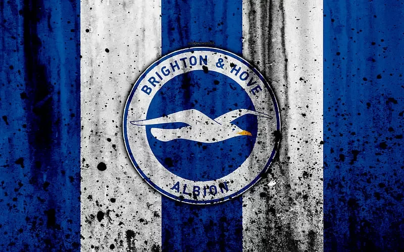 Brighton Hove Albion: Lịch sử, danh hiệu và những huyền thoại 20 Brighton Hove Albion: Lịch sử, danh hiệu và những huyền thoại