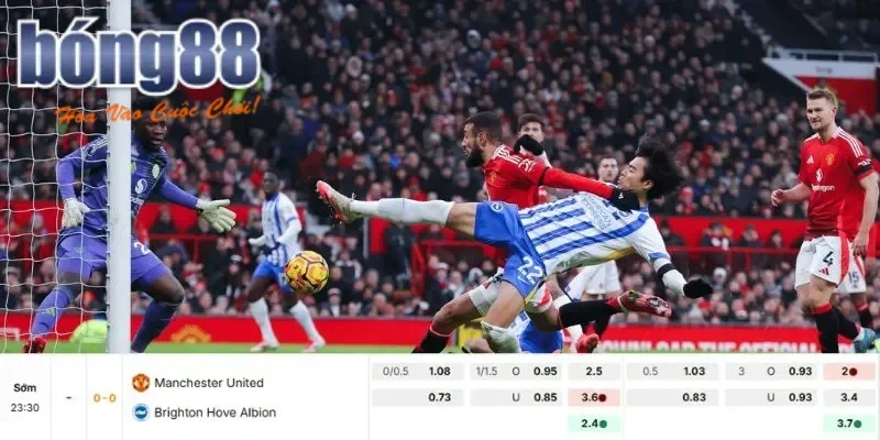 Soi Kèo Manchester United vs Brighton 23h30 25/10 – NHA 1 Manchester United vs Brighton hiện cực kỳ khát điểm