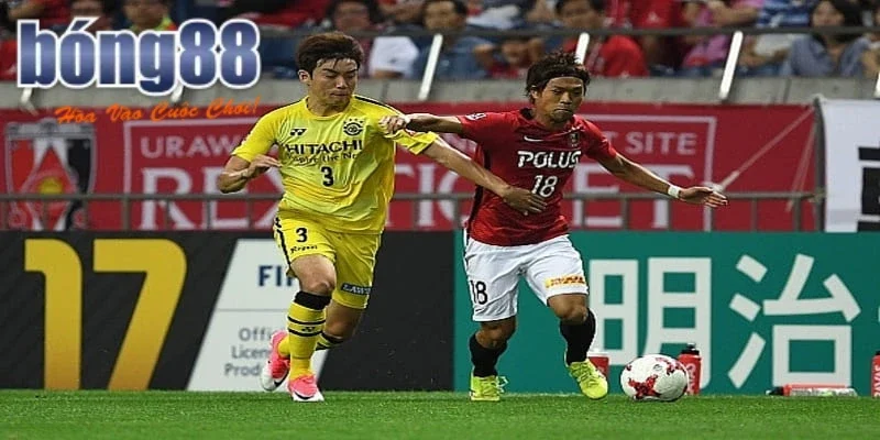 Soi Kèo Vissel Kobe vs Kashiwa Reysol Đỉnh Cao Kèo Cược Bong88 15 Xem xét thành tích đối đầu giữa Vissel Kobe vs Kashiwa Reysol